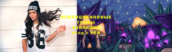 круглые Алзамай