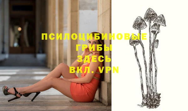 кокс Алексин