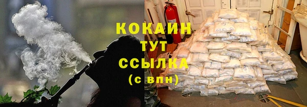 кокс Алексин