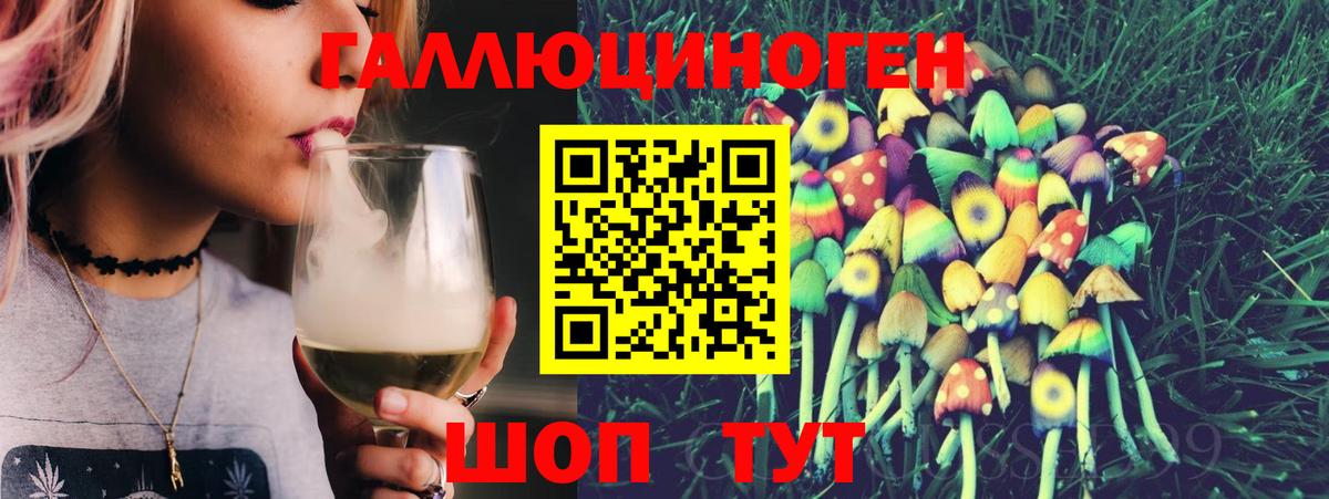 Галлюциногенные грибы Psilocybe Иваново