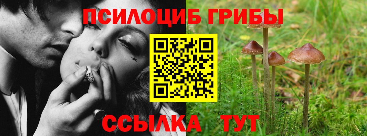 Галлюциногенные грибы Psilocybe  Галлюциногенные грибы Psilocybe  Иваново  Вход с VPN 